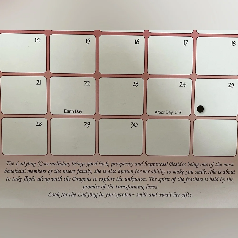 Animal Spirits 2009 Calendar by Sue Coccia